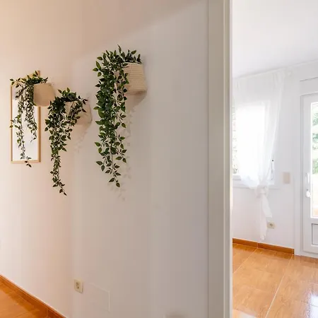 Senel * Boimorto (A Coruna)