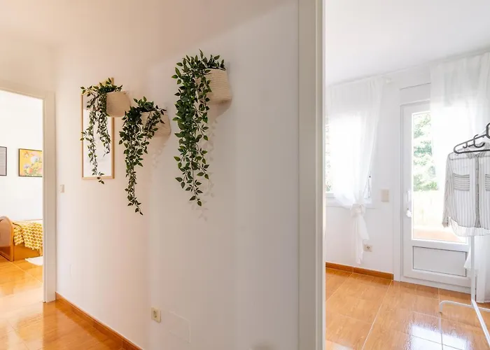 Senel * Boimorto (A Coruna)